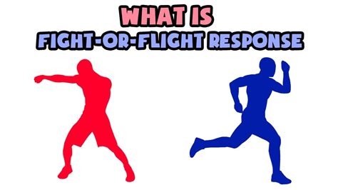 fight or flight chemical word hike|Word Hike Fight or flight chemical [ Answer ] .